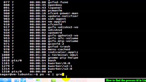 Python Xdist Linux Process Id