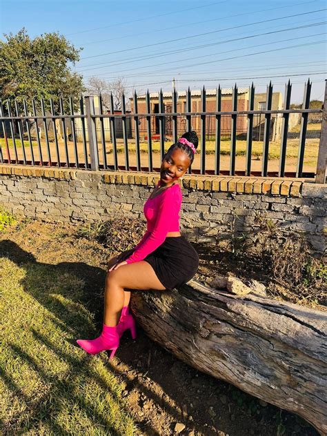 qibi creator profile