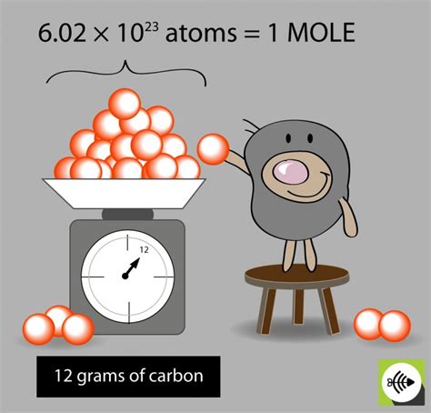 Qkcyf Servietten Dinges De Chemistry Mole Worksheet Answers - Chemistry Mole Worksheet Answers