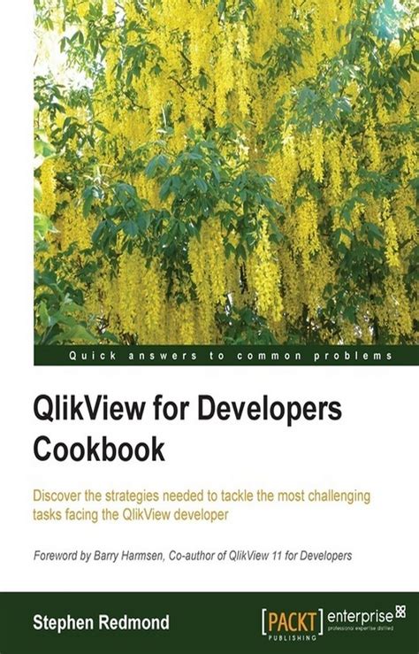 qlikview for developers cookbook redmond stephen