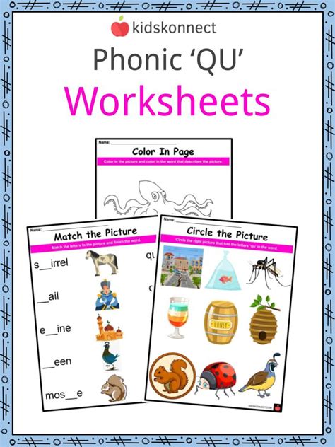 Qu Digraph Activity Worksheets By Phonicsfun Tpt Qu Diagraph 3rd Grade Worksheet - Qu Diagraph 3rd Grade Worksheet