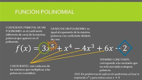 Qué Es Una Función Polinomial