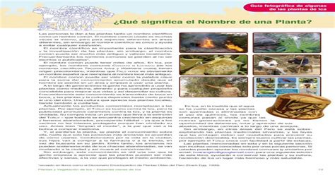 Qué Significa Vegetación