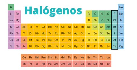 Qué Son Los Halogenos