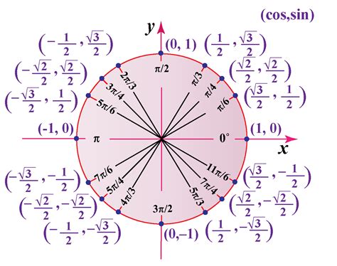 Quadrants Of The Unit Circle