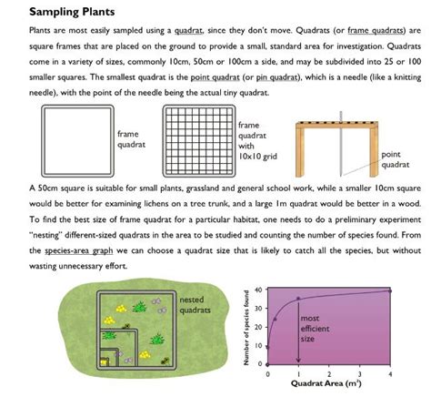 Quadrat Sampling Worksheet Answers   Sampling Habitats Examples Answers Activities Experiment - Quadrat Sampling Worksheet Answers