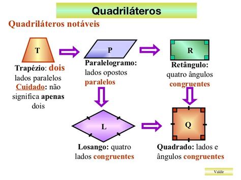 quadrilateros - medico legista