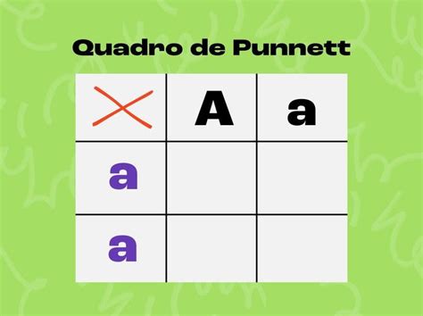 Quadro De Punnett
