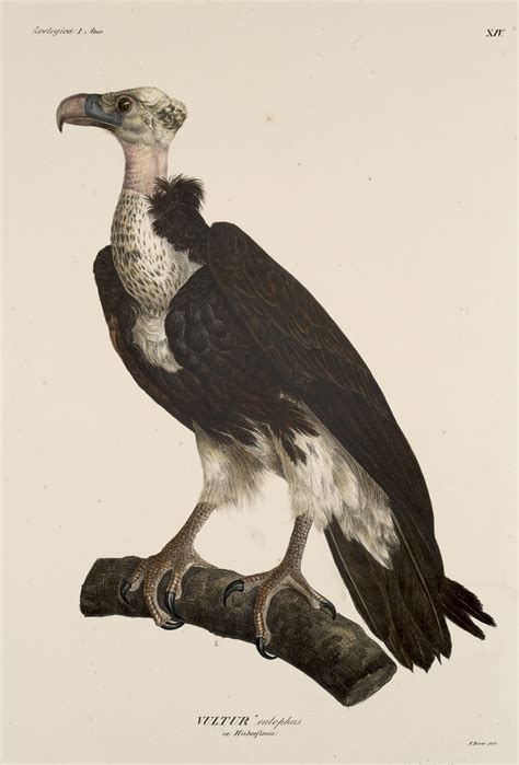 art photo by Kameron Conn