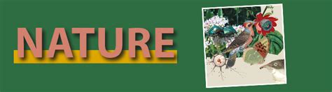 nature photo by Autumn Christiansen