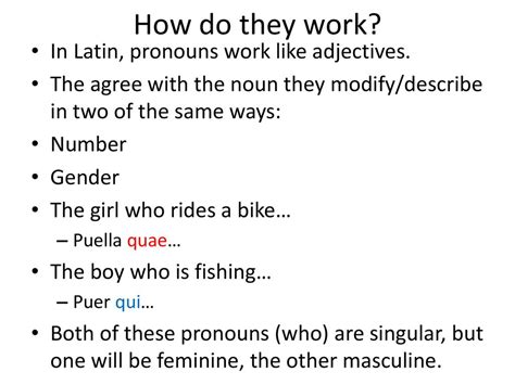 work photo by Bridgette Borer