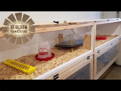 quail brooder plans