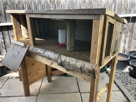 Read Online Quail Housing Thepoultryguide 