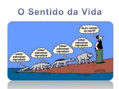 Qual O Sentido Da Vida