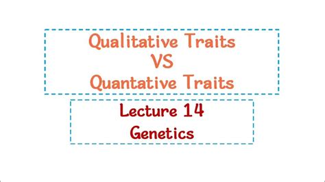 Qualitative And Quantitative Traits