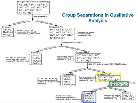 Full Download Qualitative Analysis Of Cations Lab Report Answers 