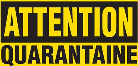 quarantaine definitie