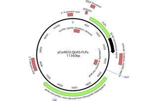 Instagram post by Margie Wilkinson #5