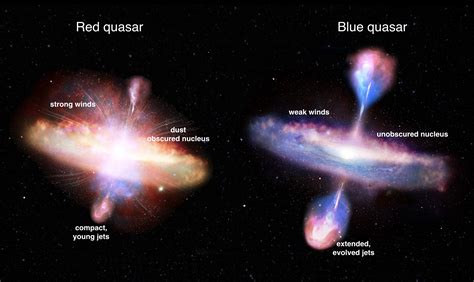 Quasar Net Phenomenon