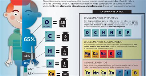 Que Elementos Son Importantes Para Representar Un Personaje