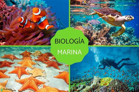 que es biologia marina pdf