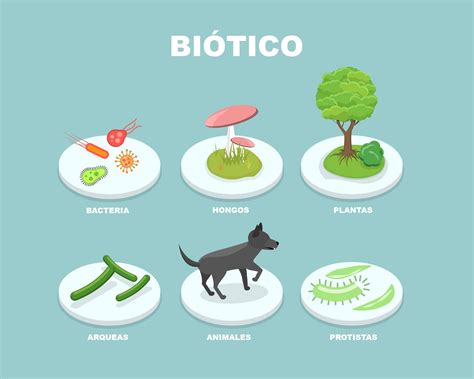 Que Es Biotico