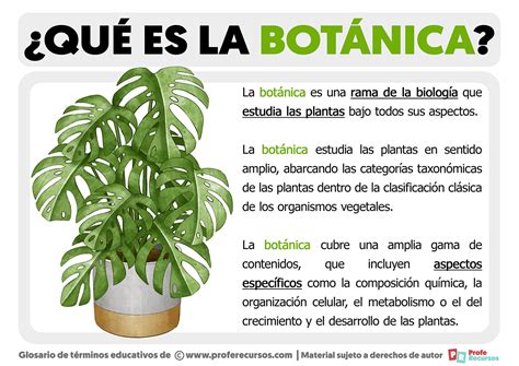 Que Es Botanica