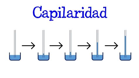 Que Es Capilaridad