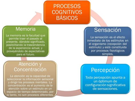 Que Es Cognitivo