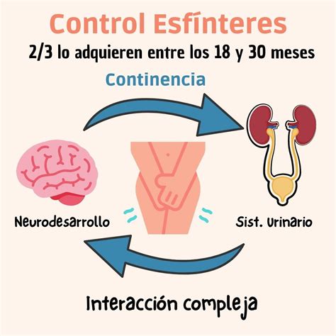 Que Es Control De Esfinteres