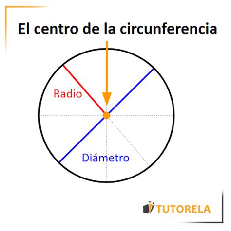 Que Es El Centro De Gravedad