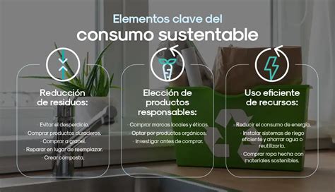 Que Es El Consumo Sustentable