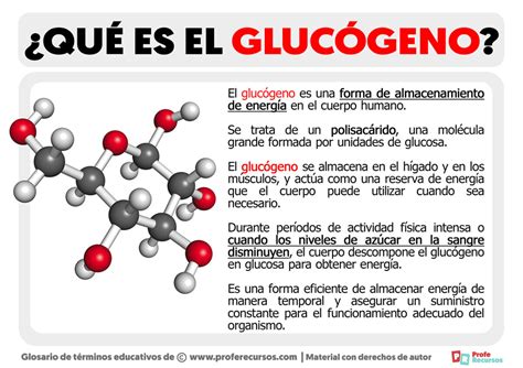 Que Es El Glucogeno
