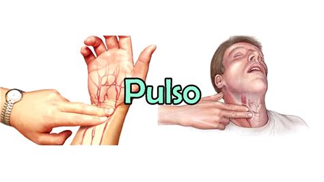 Que Es El Pulso