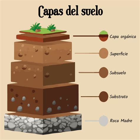 Que Es El Suelo