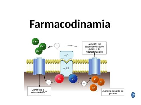 Que Es Farmacodinamia