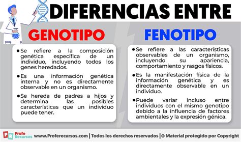 Que Es Fenotipo