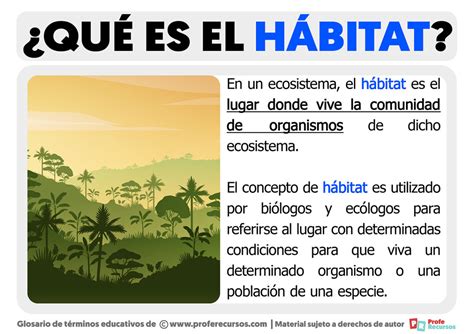 Que Es Habitat