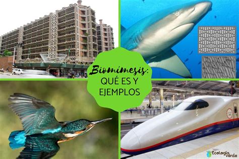 Que Es La Biomesis