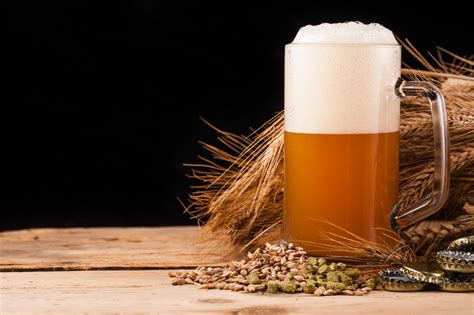 Que Es La Cerveza