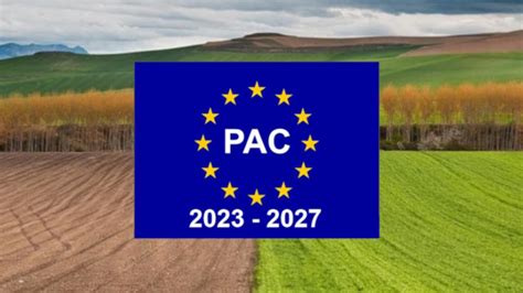 Que Es La Pac