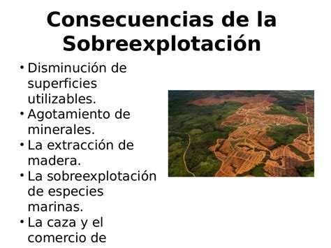 Que Es La Sobreexplotacion