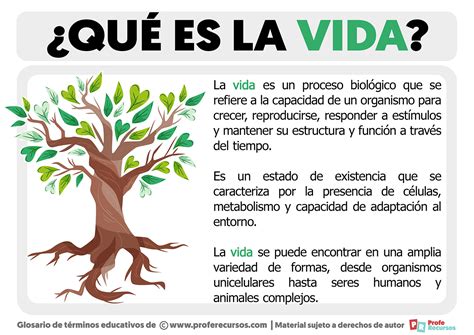 Que Es La Vida