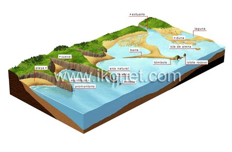 Que Es Litoral