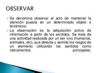Que Es Observar