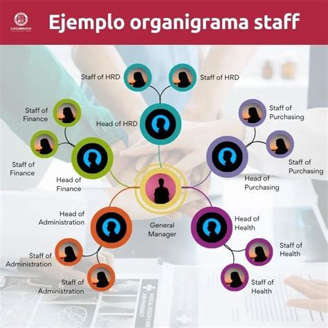 Que Es Staff