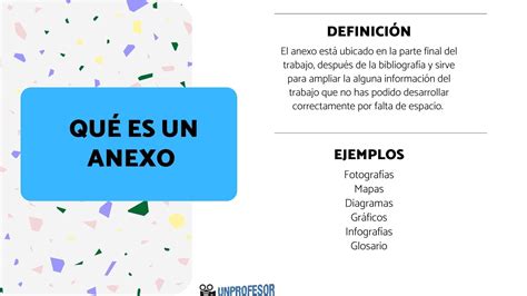 Que Es Un Anexo