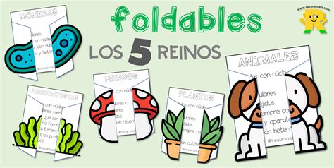 Que Es Un Foldable