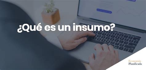 Que Es Un Insumo