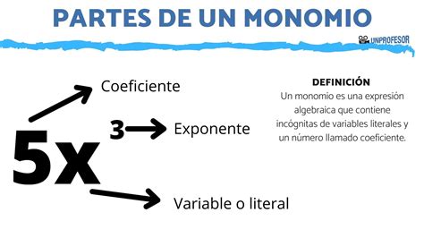 Que Es Un Monomio